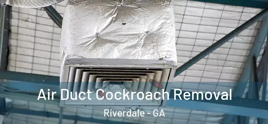 Air Duct Cockroach Removal Riverdale - GA