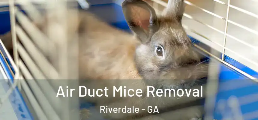 Air Duct Mice Removal Riverdale - GA