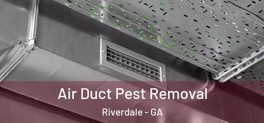  Air Duct Pest Removal Riverdale - GA