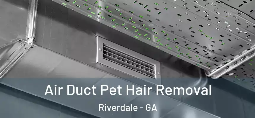  Air Duct Pet Hair Removal Riverdale - GA