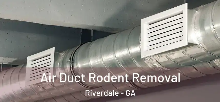  Air Duct Rodent Removal Riverdale - GA