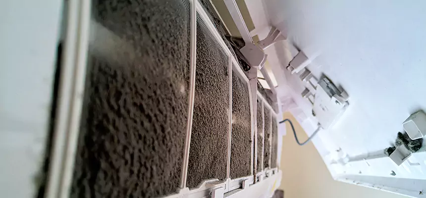 Preventive Air Duct Bacteria Removal in Riverdale