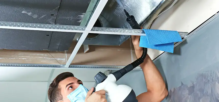 Our Air Duct Rodent Removal Services in Riverdale, GA