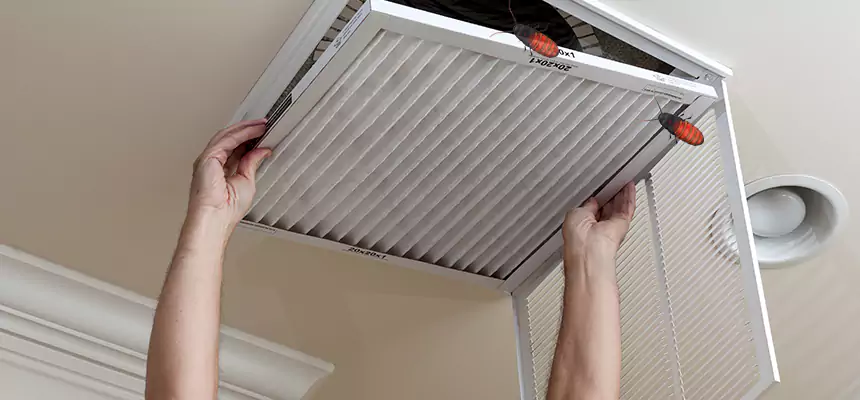 Our Insect Removal from Air Ducts Services in Riverdale, GA