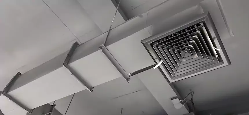 Our Pest Removal From Ducts Services in Riverdale, GA