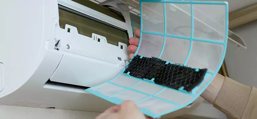 Gentle Ductwork Odor-Control Pet Dander Duct Cleaning in Riverdale, GA