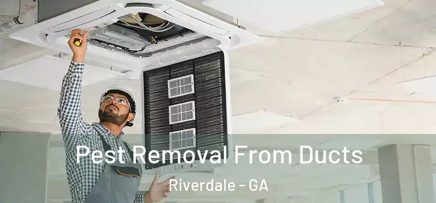 Pest Removal From Ducts Riverdale - GA