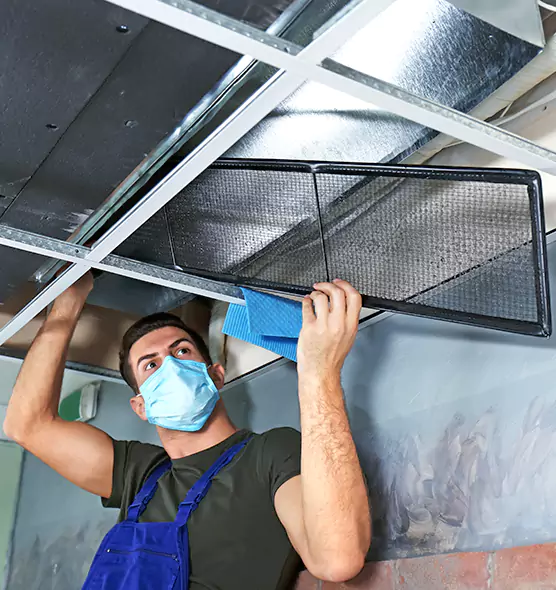 About Air Duct Bacteria Removal in Riverdale