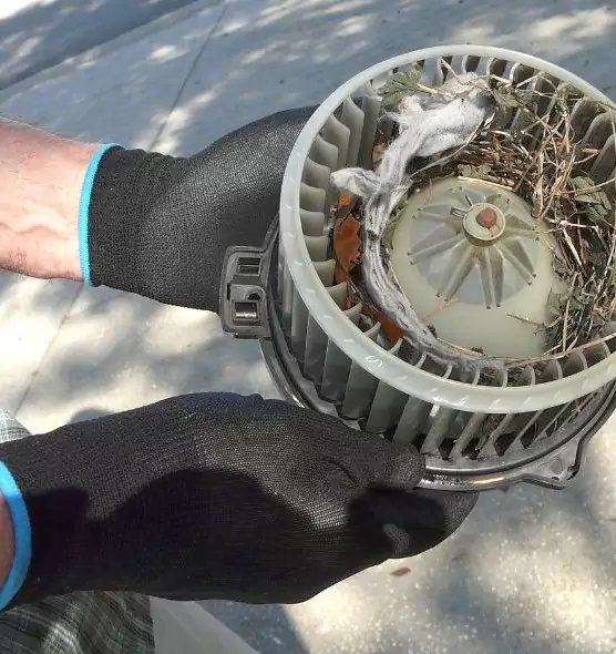 About Air Duct Mice Removal in Riverdale, GA