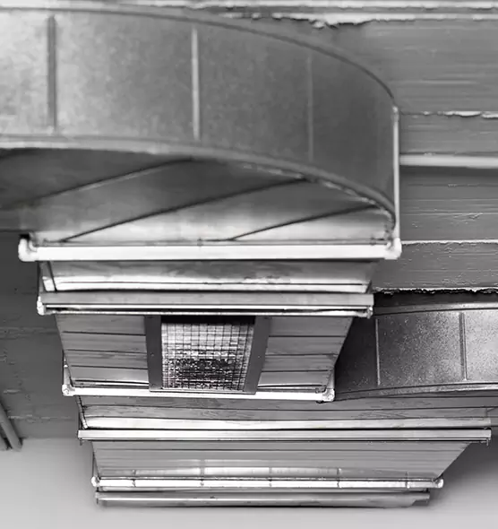 Professional Air Duct Pest Removal in Riverdale, GA