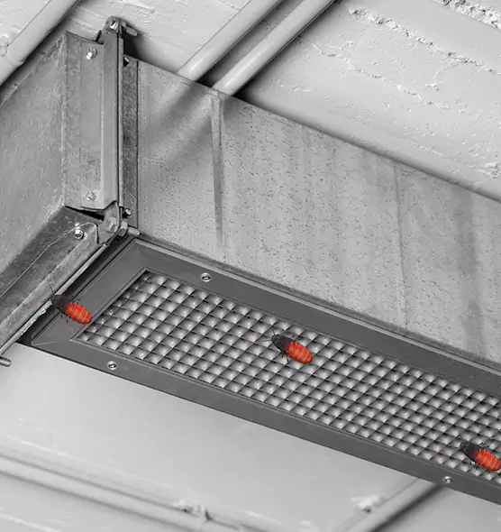 Affordable Insect Removal from Air Ducts in Riverdale, GA