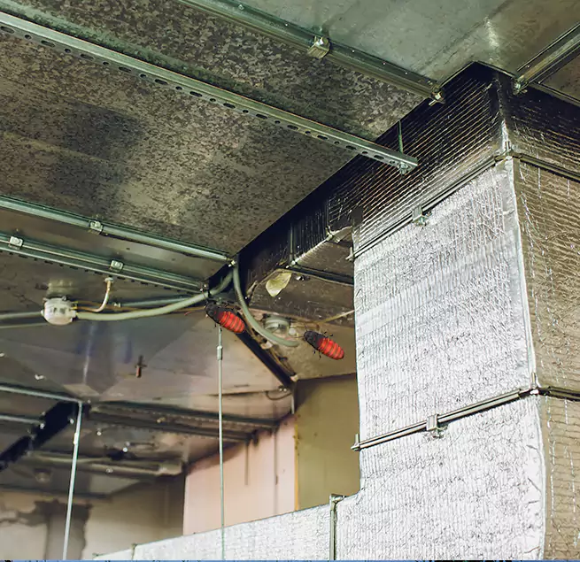 Why Homeowners & Businesses Trust Us in Riverdale, GA?