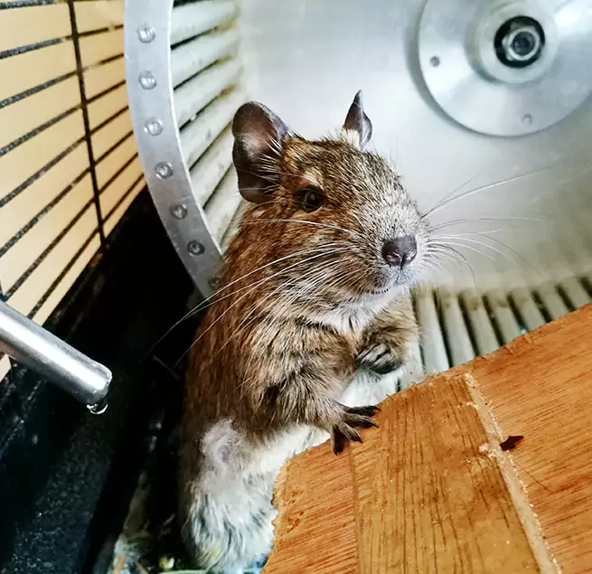 Why Homeowners & Businesses Trust Us Riverdale, GA