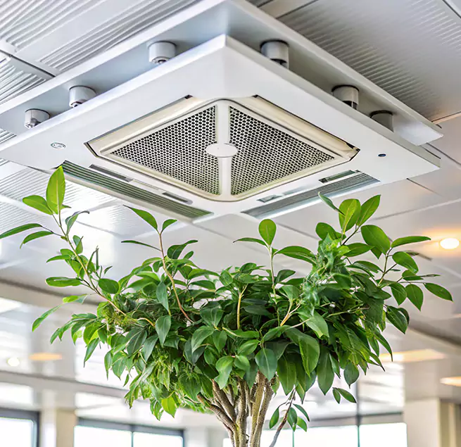 Why Homeowners & Businesses Trust Us in Riverdale, GA